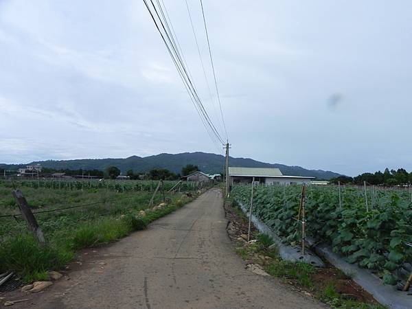 DSCN9565A.jpg DSCN9565A.jpg