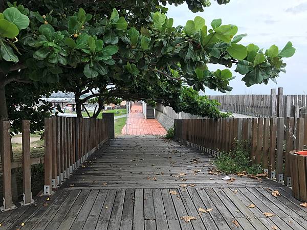 IMG_1650A.jpg IMG_1650A.jpg