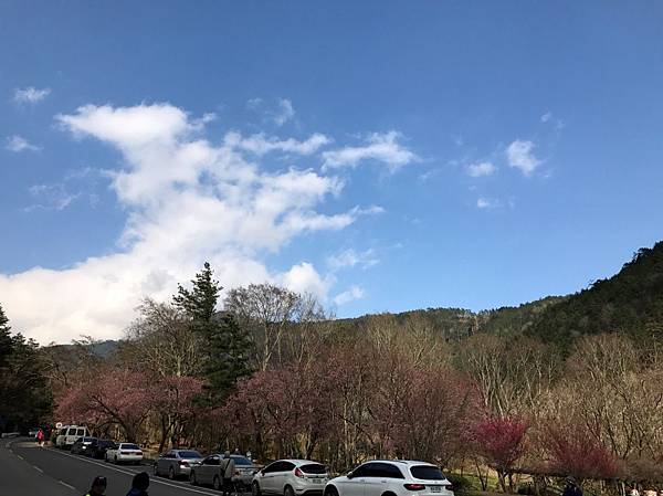 IMG_4871A.jpg IMG_4871A.jpg