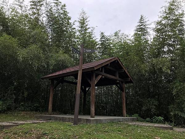 IMG_5805A.jpg IMG_5805A.jpg