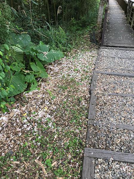 IMG_5903A.jpg IMG_5903A.jpg