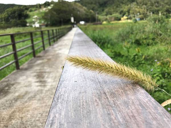 IMG_3470A.jpg IMG_3470A.jpg