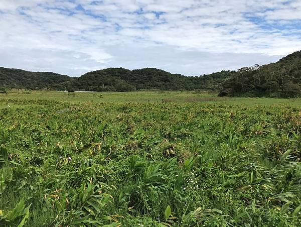 IMG_3464A.jpg IMG_3464A.jpg