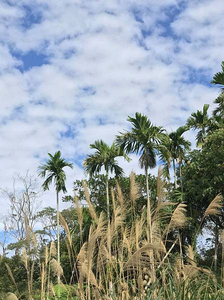 IMG_3477A.jpg IMG_3477A.jpg