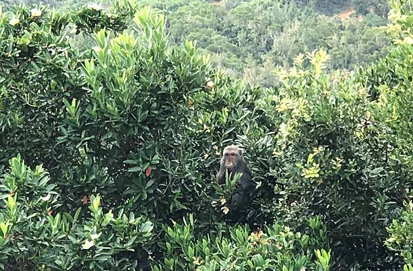 IMG_3485A.jpg IMG_3485A.jpg