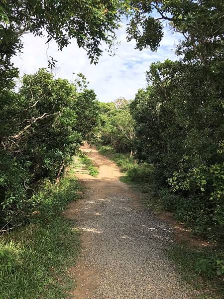 IMG_3501A.jpg IMG_3501A.jpg