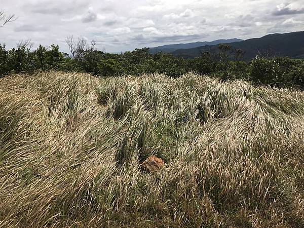 IMG_3512A.jpg IMG_3512A.jpg