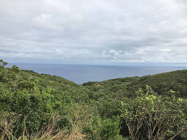 IMG_3524A.jpg IMG_3524A.jpg