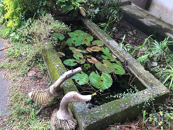 【花蓮市】老松環抱的卧松園區(免門票)