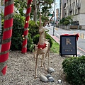 IMG_8692A.jpg