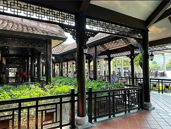 20250429-001巴拿山入門須知及纜車和佛手喬 20250429-001巴拿山入門須知及纜車和佛手喬