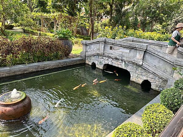 20250429-001巴拿山入門須知及纜車和佛手喬 20250429-001巴拿山入門須知及纜車和佛手喬