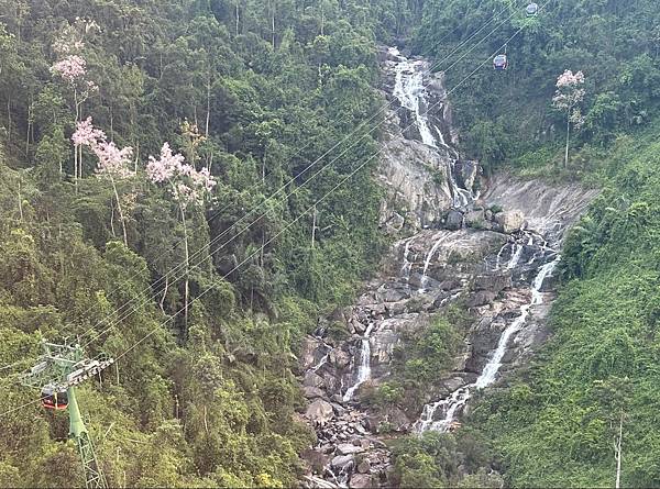 20250429-001巴拿山入門須知及纜車和佛手喬 20250429-001巴拿山入門須知及纜車和佛手喬