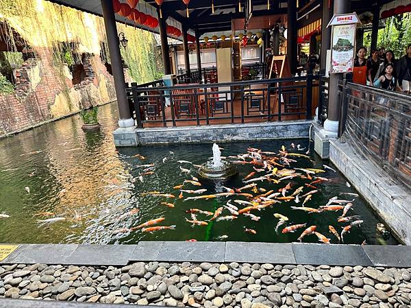 20250429-001巴拿山入門須知及纜車和佛手喬 20250429-001巴拿山入門須知及纜車和佛手喬