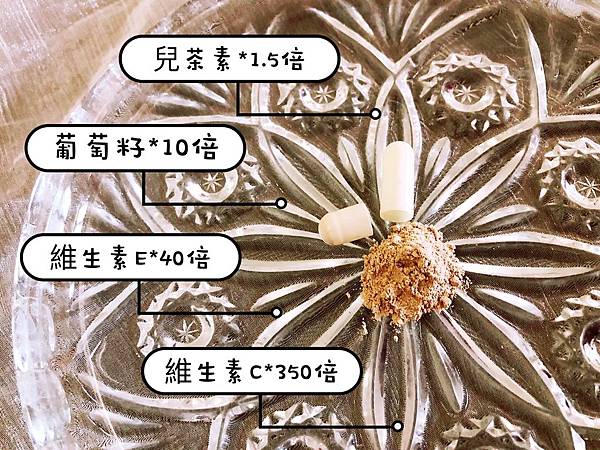 試用