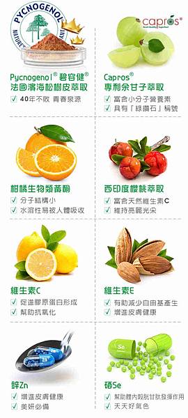 試用