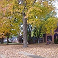 Fall foliage 10-30-2005