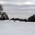 雪後高爾夫球場ㄧ角