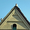 2 sparrows rest on the rooftop 04-03-2016.jpg