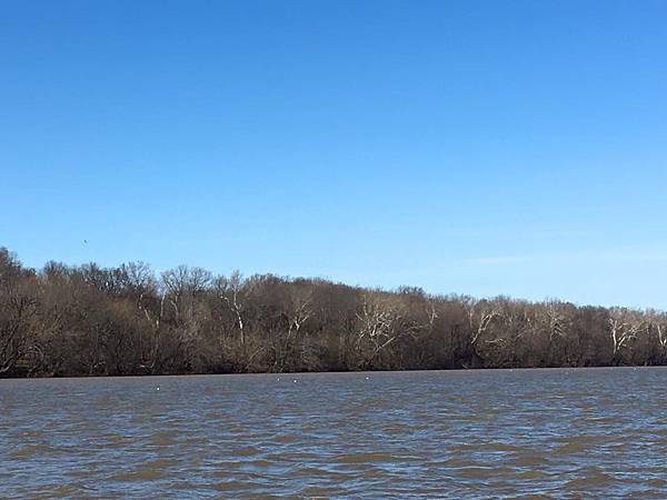 12801666_1780030672224803_6311824747754190684_n.jpg 12801666_1780030672224803_6311824747754190684_n.jpg