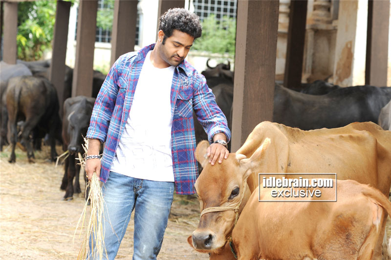 brindavanam8