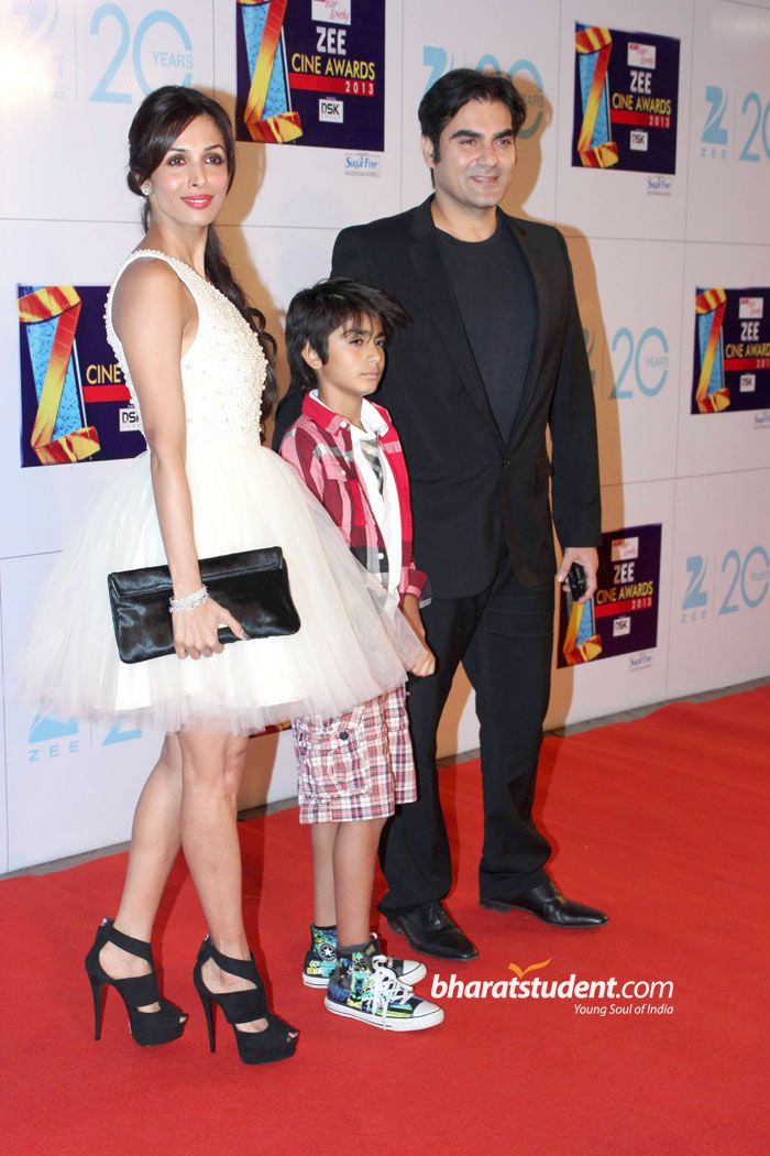 zee-cine-awards-2013_056