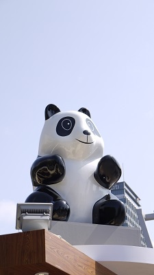 panda 4.jpg