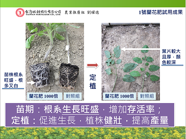 圖片1.png 圖片1.png