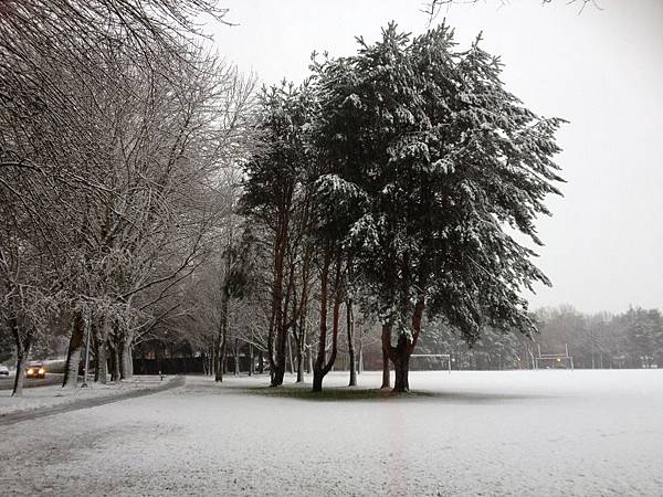 附近公園的雪景.JPG