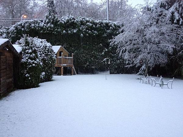 後院的雪景.JPG