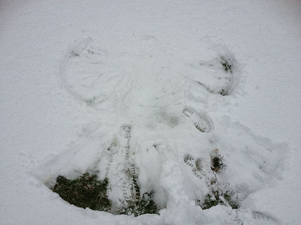 躺在地上做出一個snow angel.JPG