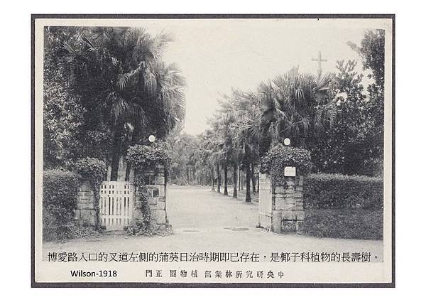 20161228-植物園老照片行前導覽資料.-to 老師們_頁面_38.jpg 20161228-植物園老照片行前導覽資料.-to 老師們_頁面_38.jpg