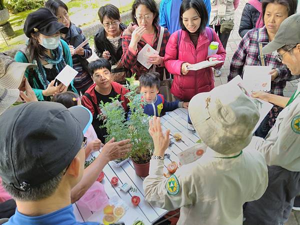 20191215上午芸香科主題導覽_191216_0060.jpg