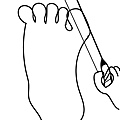 foot2.jpg