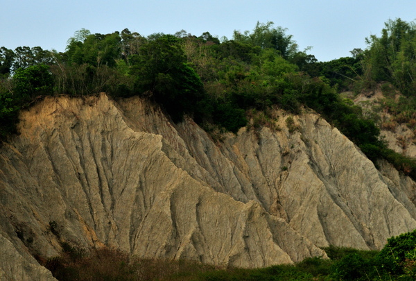 DSC_7641.jpg