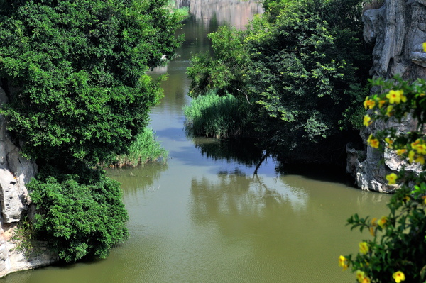 DSC_7730.jpg