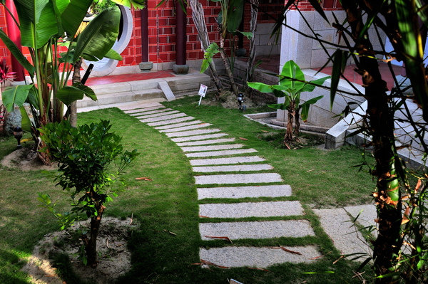 DSC_7769.jpg