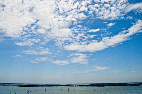 DSC_7831.JPG