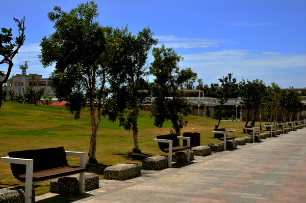 DSC_7843.jpg