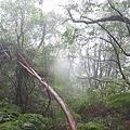 除霧!