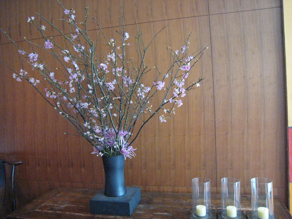 漂亮的花