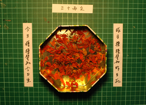 三十而立.jpg 三十而立.jpg