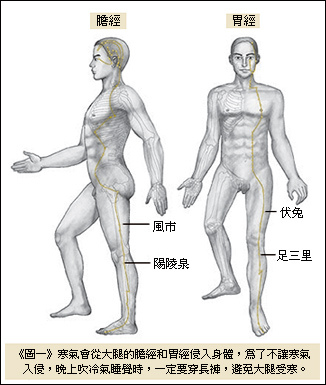 膽經, 胃經.bmp 膽經, 胃經.bmp