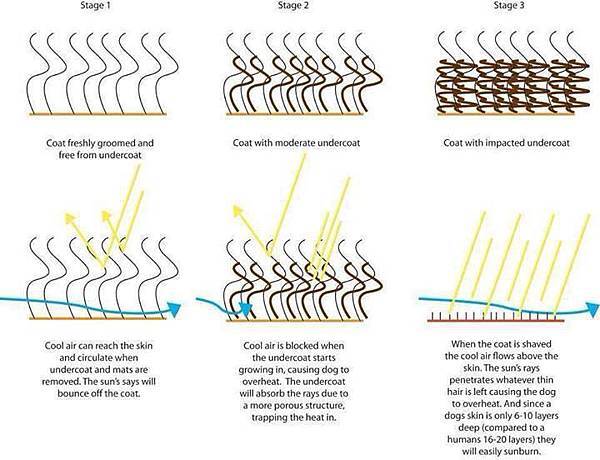 10275920_740816469314347_3619818015355838231_n