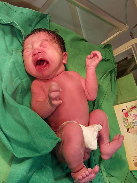 凸凸貓一出生的樣子