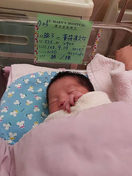 凸凸貓睡得很熟~床頭卡資料