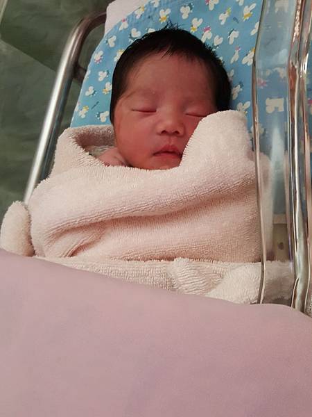 真的很會睡覺的凸凸貓~臉上還自己抓了一條紅紅的...