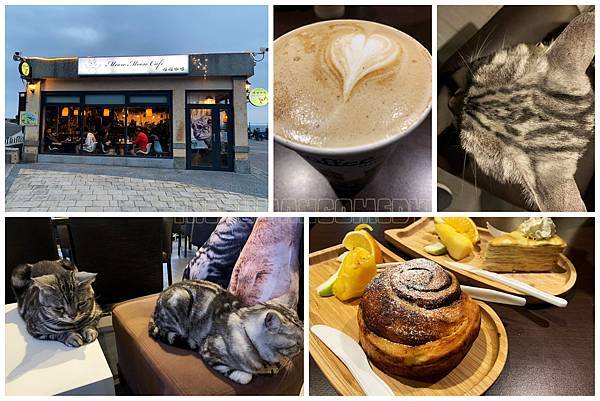 喵喵咖啡：看海景、吹海風、嚕貓、喝下午茶