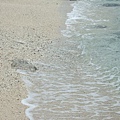 大白沙海灘