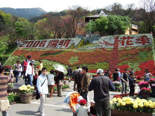 2006陽明山花季